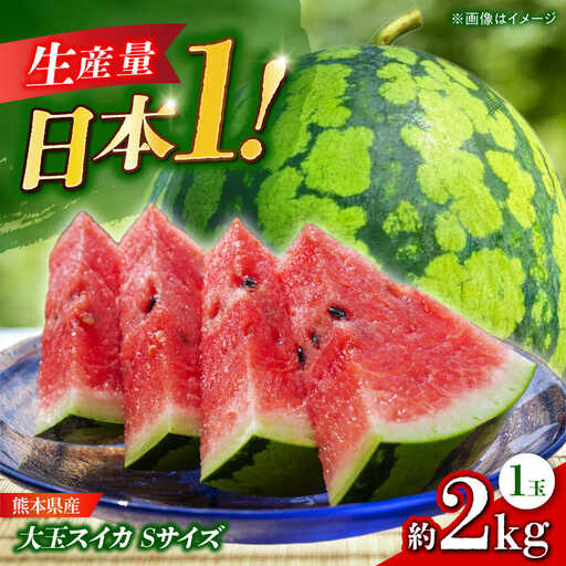 [先行予約] 大玉スイカ Sサイズ 1玉入り 約2kg すいか 小玉 熊本 フルーツ 野菜 果物 [日本フルーツ株式会社]