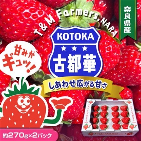 いちご 古都華・ことか2パック(8〜15粒入り/1pc)[配送不可地域:離島・北海道・沖縄県・東北]