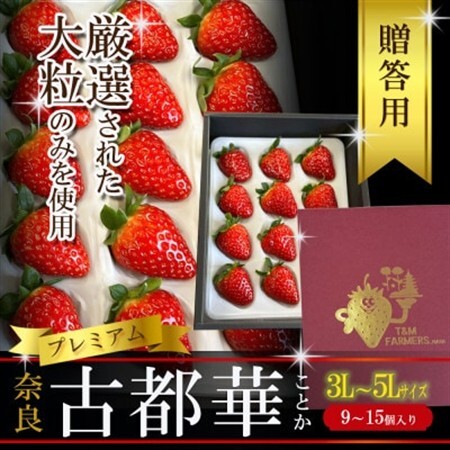 いちご 古都華・ことか 大粒 1パック(9〜15粒入り)[配送不可地域:離島・北海道・沖縄県・東北]