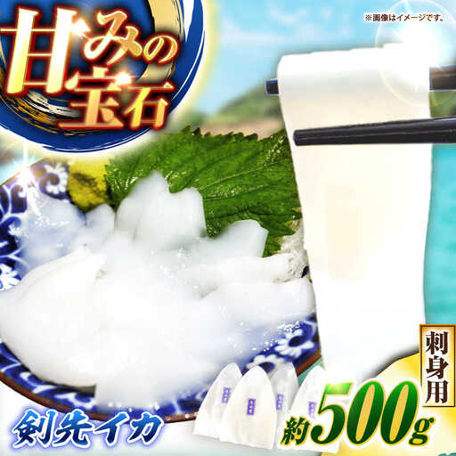 【お中元】剣先イカ 刺身用 500g [JCC024] イカ刺し