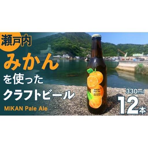 クラフトビール みかんペールエール 330ml × 12本セット