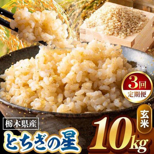 令和8年度産 先行予約 【定期便3回】とちぎの星 玄米 約10kg
