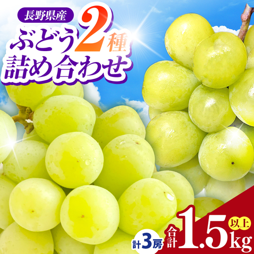 【2026年先行予約】信州伊那産ぶどう２種詰合せセット（約1.5kg）シャインマスカット 雄宝 【018-31】