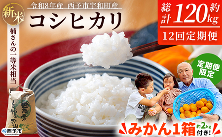 【第2弾 受付開始】新米 ＜令和8年産 コシヒカリ 約10kg×12回 温州みかん2kg×1回 西予市宇和町産＞ 白米 精米 楠さんの一等米相当 選べる 配送回数 お米 ご飯 愛媛県 西予市【常温】『2026年9月上旬から順次出荷予定』 UKK0010