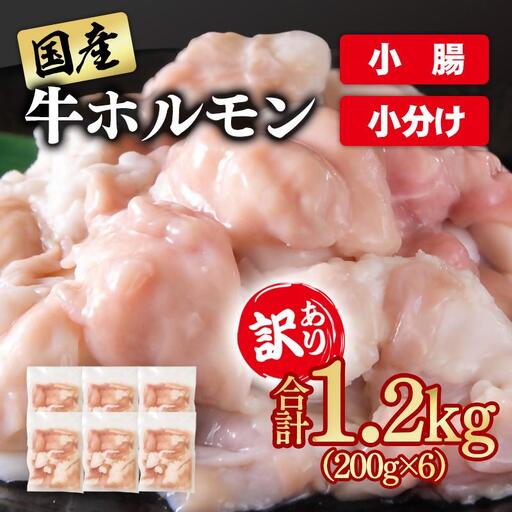 訳あり牛ホルモン1.2kg 小分け200g×6 国産 ホルモン もつ鍋 焼肉用 国産牛 牛モツ コラーゲン[58-48a]