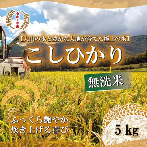 令和7年産 山崎農園こしひかり無洗米 5kg コシヒカリ