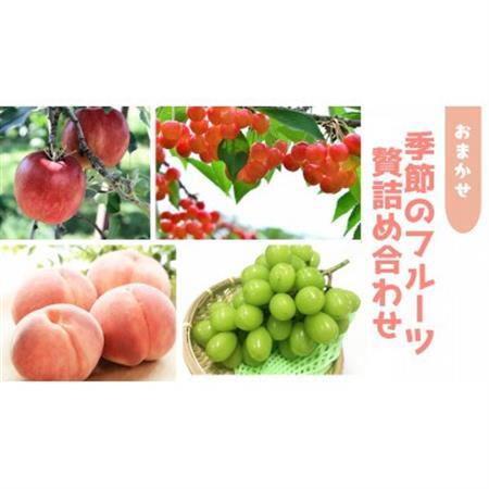 信州中野 季節の果物おまかせセット【フルーツ詰め合わせ】【配送不可地域：離島】【1646790】