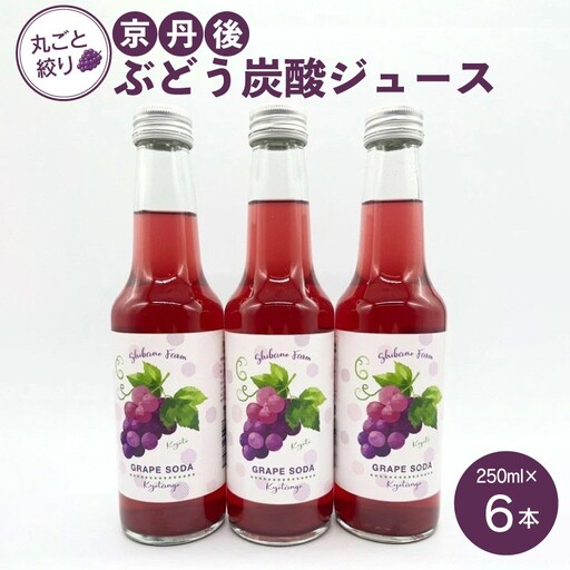 京丹後のぶどう炭酸ジュース（ソーダ） 小瓶6本入り（2026年11月中旬～発送）京丹後 ぶどう 葡萄 炭酸ジュース ソーダ しばの 飲料 ジュース ふるさと納税 ぶどう ふるさと納税 ジュース