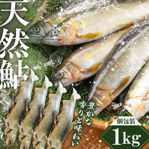 日田産天然鮎(冷凍)1kg　日田市 / 日田漁業協同組合 魚 あゆ アユ[ARFJ002]