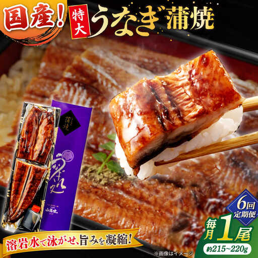 【6回定期便】うなぎ老舗専門店のパリっとふっくら国産うなぎ 蒲焼1尾(蒲焼のタレ付き) 島根県松江市/株式会社山美世商会[ALDC008]