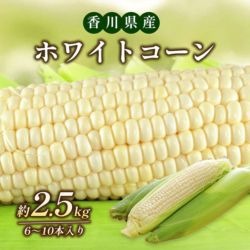 とうもろこし ホワイトコーン とうもろこし【約2.5kg 6〜10本】 【46311933】
