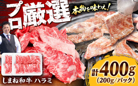 牛ハラミ 400g しまね和牛 ／ ハラミ [AIEF006]