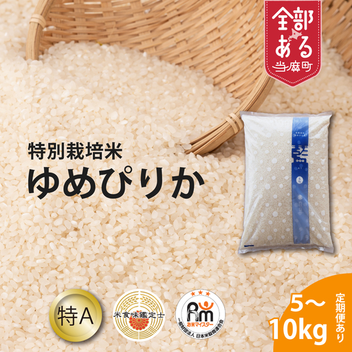 令和8年産新米【定期便】特別栽培米ゆめぴりか 10kg×12回 北海道当麻町 舟山農産 減農薬 低農薬【AB-049】