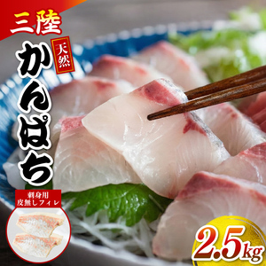 【 カンパチ 】 カンパチ刺身2.5kg