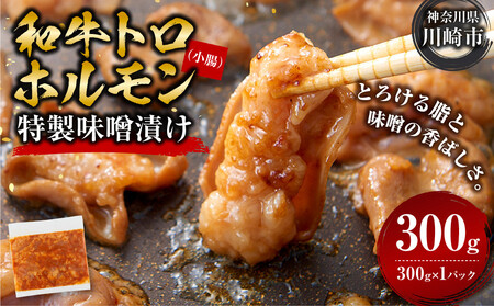 ＜訳アリ＞和牛トロホルモン　特製味噌漬け　0.3kg(300g×1）【2026年8月発送】