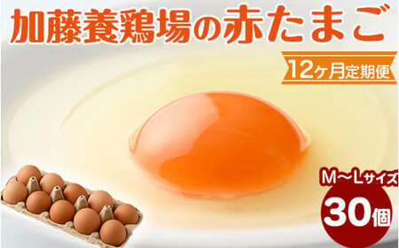 【12か月定期便】高根沢町産 たまご 加藤養鶏場の赤たまご M～Lサイズ 30個(27個＋割れ補償3個)×12ヶ月 計360個｜ 卵 玉子 たまご 赤卵 赤たまご 生卵 国産 濃厚 鶏卵 コク 旨み ※北海道・沖縄・離島への配送不可