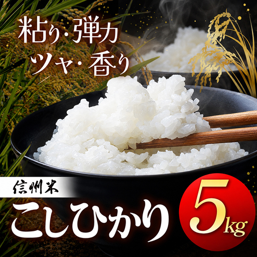 上高地清流米 こしひかり 松本産 白米 5kg 長野県産