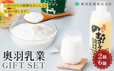 [奥羽乳業]贈答用 奥羽乳業ギフト 2種6個セット(のむヨーグルト2本・プレーンヨーグルト4個) 山形県産生乳使用!