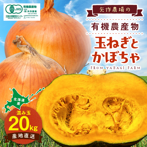 【先行受付】R8年産 有機栽培玉ねぎ・かぼちゃセット 合計20kg | 玉ねぎ たまねぎ タマネギ 玉葱 かぼちゃ カボチャ 南瓜 セット 詰め合わせ 大容量 オニオン パンプキン 甘い 有機栽培 国産 産地直送 北海道 津別町 送料無料