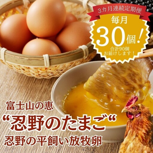 [定期便]忍野の平飼い放牧卵 3か月連続定期便(毎月30個×3か月 合計90個)|たまご 卵