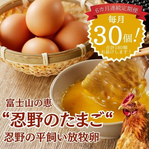 【定期便】忍野の平飼い放牧卵　6か月連続定期便（毎月30個×6か月　合計180個）|たまご 卵