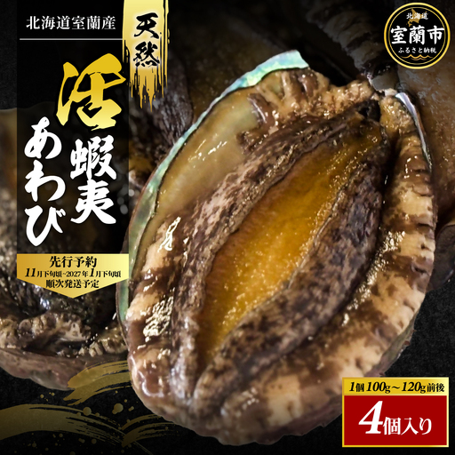 北海道室蘭産 天然活蝦夷あわび 4個入（1個100g～120g前後）2026年11月下旬頃～2027年1月下旬頃順次発送 MROH011