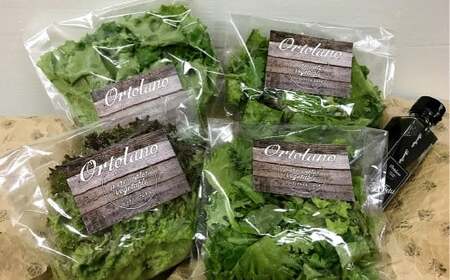 【12回定期便】【Ortolano】野菜 定期便 サラダ ドレッシング 詰め合わせ セット 野菜 岡山県 倉敷市