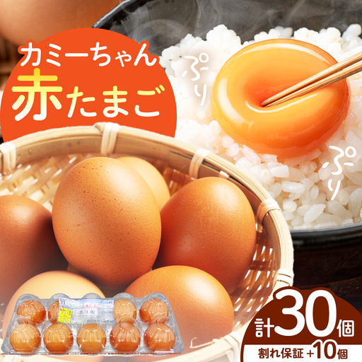 JA上伊那　カミーちゃん赤たまご　20個＋割れ保障10個付き（MSサイズ）｜卵 赤卵 20個 JA上伊那 伊那市 長野県 信州 ふるさと納税【008-24】