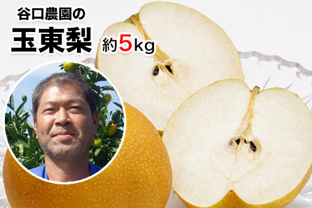 梨 谷口農園 約5kg 約6-16玉前後[日付指定・品種指定不可]| 梨