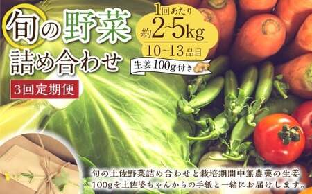 [定期便3回]旬の野菜の詰め合わせと栽培期間中農薬不使用の生姜100g付き 詰め合わせ 野菜セット 野菜 ギフト やさいセット お取り寄せグルメ 家庭用 旬野菜 新鮮 特産 農薬不要 食材