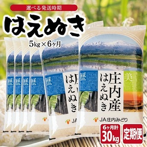 ≪新米予約≫ ≪6ヶ月定期便≫ はえぬき5kg×6ヶ月連続(11月～4月) 計30kg 山形県庄内産 ご希望期間の毎月中旬頃お届け JA 農協 産地直送 精米 白米 庄内米 東北 遊佐町 [1671T11]