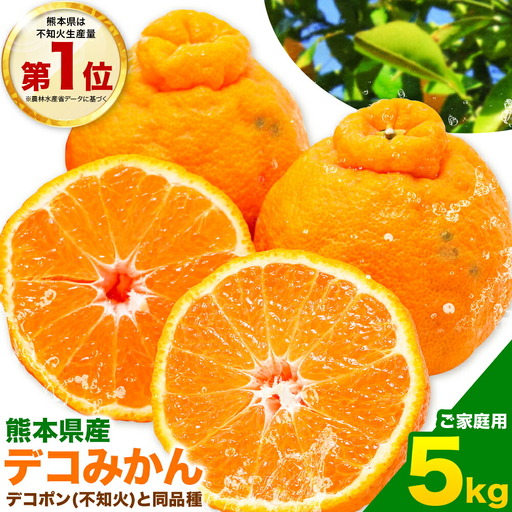 不知火 熊本 訳あり 5kg 不知火