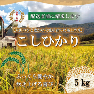 令和7年 鳥取県産 山崎農園こしひかり 5kg