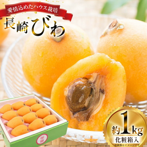 びわ 長崎 ハウスびわ 1kg 化粧箱入 【2027年3月順次発送】