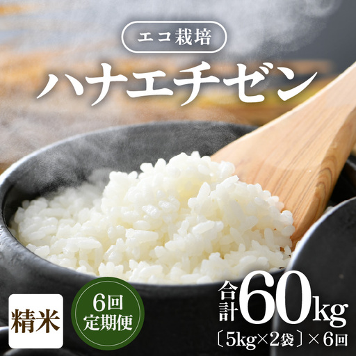 【先行予約】【令和8年産 新米】【一等米】 定期便≪6ヶ月連続お届け≫エコ栽培ハナエチゼン 精米 10kg×6回（計60kg） ／ 鮮度抜群 福井県産 はなえちぜん ご飯 新鮮 白米 ※2026年9月上旬以降順次発送予定 [aw063-i005]