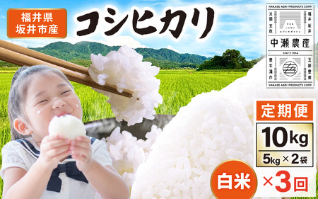 【先行予約】【令和8年産・新米】 定期便 ≪3ヶ月連続お届け≫ 坂井市産 コシヒカリ 白米 10kg (5kg×2袋)×3回 計30kg (中瀬農産) 【2026年10月以降順次発送予定】 【米 こめ お米 精米 ブランド米 こしひかり 国産】 [F-20504]