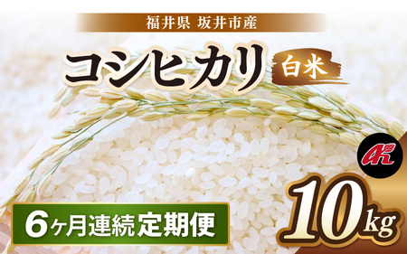 【先行予約】【令和8年産・新米】 定期便 ≪6ヶ月連続お届け≫ 坂井市産 コシヒカリ 白米 10kg (5kg×2袋)×6回 計60kg (アグリ川崎) 【2026年10月以降順次発送予定】 【米 こめ お米 精米 ブランド米 こしひかり 国産】 [K-20506]