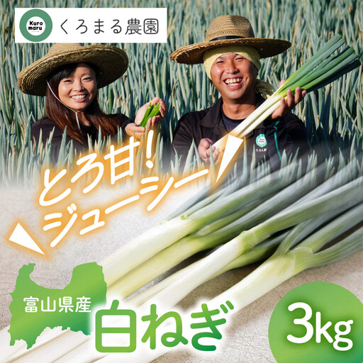 ＜先行予約＞ くろまる農園　富山の白ネギ（泥付き）3キロ