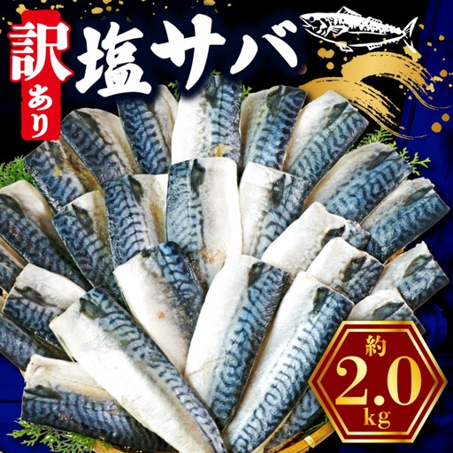 訳あり 塩鯖 2kg 鯖
