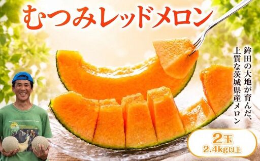 [2027年発送]むつみレッドメロン(赤肉) 2玉入 赤肉品種 鉾田メロン! / むつみレッド 果物 フルーツ ギフト 農家直送 kbn010_X2