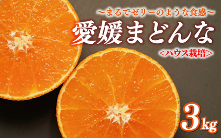 [紅まどんなと同品種] [先行予約]まどんな 3kg 前田ファーム