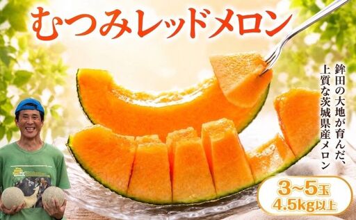 [2027年発送]むつみレッドメロン(方波見農園) 3〜5玉 赤肉品種 高級メロン! / むつみレッド 果物 フルーツ ギフト 農家直送 kbn011_X1