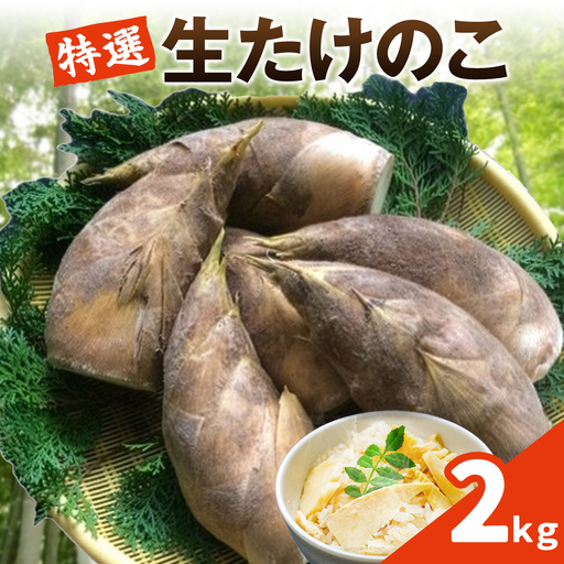 【先行受付】特選 生たけのこ 2kg 《3月中旬-4月上旬頃出荷》 熊本県 南関町産 春 筍