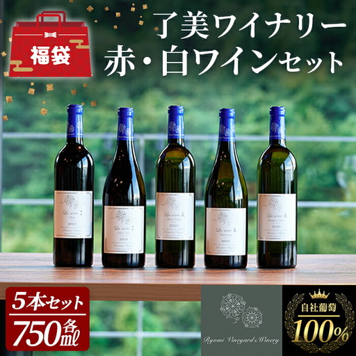 自社葡萄を使用したワインセット 750ml×5本 赤ワイン 白ワイン メルロー ピノノワール シャルドネ ソーヴィニヨンブラン モンドブリエ ミディアムボディ 辛口 ぶどう ブドウ アルコール みらいファームやまと 【了美ワイナリー】ta594