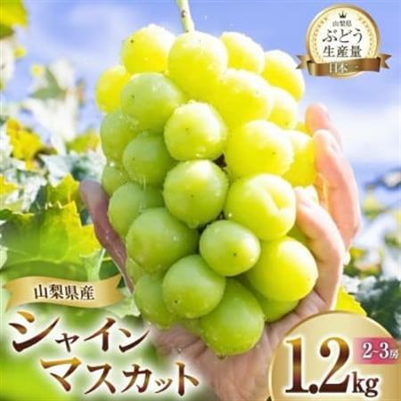 【2026年発送】山梨県山梨市産 朝採れ シャインマスカット 1.2kg (2～3房)【配送不可地域：離島・沖縄県】【1691267】