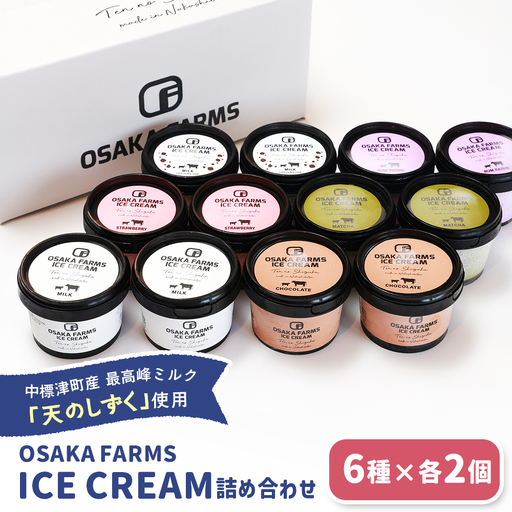 OSAKA FARMS ICE CREAM 詰め合わせ12個入りセット（ミルク・チョコ・イチゴ・抹茶・チョコチップ・ラムレーズン）6種×各2個【51014】