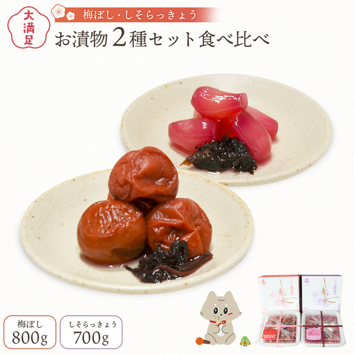 大満足　お漬物２種セット　梅ぼし　しそらっきょう　食べ比べ【02104】