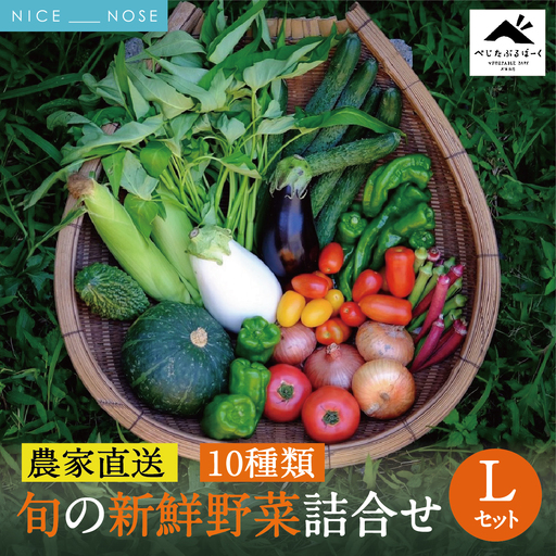 [大阪能勢産] [農家直送] べじたぶるぱーくの旬の新鮮野菜詰合せ Lセット (10種類) | べじたぶるぱーく野菜詰め合わせ 野菜 農薬・化学肥料不使用 新鮮 産地直送 季節 旬 | 大阪府 能勢町 送料無料