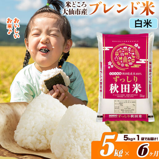 米《定期便6ヶ月》米どころ 秋田県大仙市産 ブレンド米【白米】5kg（5kg×1袋）