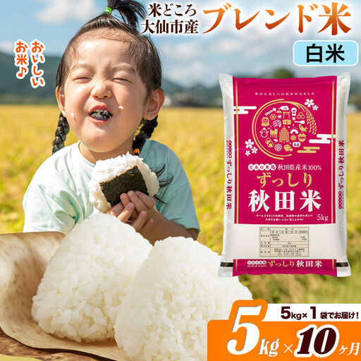 米《定期便10ヶ月》米どころ 秋田県大仙市産 ブレンド米【白米】5kg（5kg×1袋）